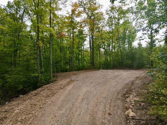 LOT 1 GRUNDY RD, TOMAHAWK, WI 54487, photo 2 of 14