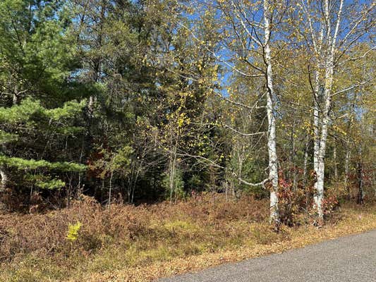 LOT 7 BLACK OAK LAKE RD S, LAND O LAKES, WI 54540 - Image 1