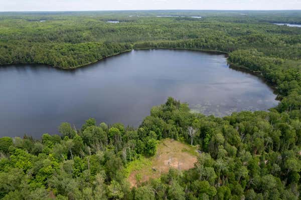 LOT BLUE GOOSE RD, PRESQUE ISLE, WI 54557 - Image 1