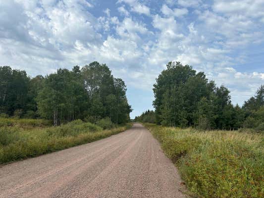 TBD DUNHAM RD, MARENISCO, MI 49947, photo 3 of 41