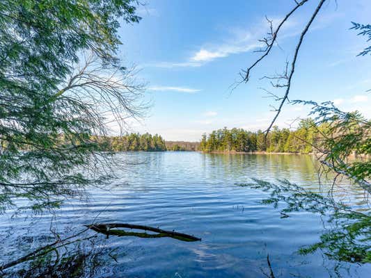 LOT 3 LOON BAY TR, LAC DU FLAMBEAU, WI 54538 - Image 1