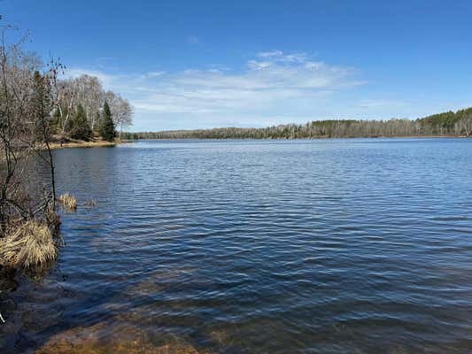 0000 BIRCH POINT LN # 22, PRESQUE ISLE, WI 54557 - Image 1