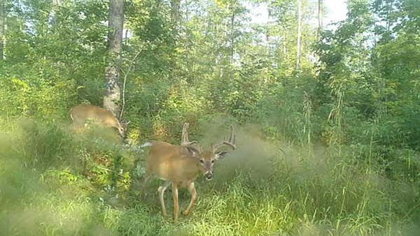 ON TOWER RD, MERRILL, WI 54452 - Image 1