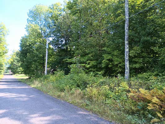 LOT ON NO 4 RD, MONTREAL, WI 54550 - Image 1