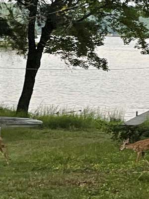 TBD ROBINSON LAKE RD, KENTON, MI 49969, photo 2 of 6