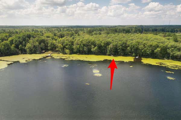 LOT 1 ANDERSON LAKE RD, LAND O LAKES, WI 54540 - Image 1