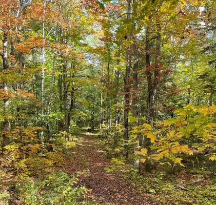 NEAR HWY 519, WAKEFIELD, MI 49968 - Image 1