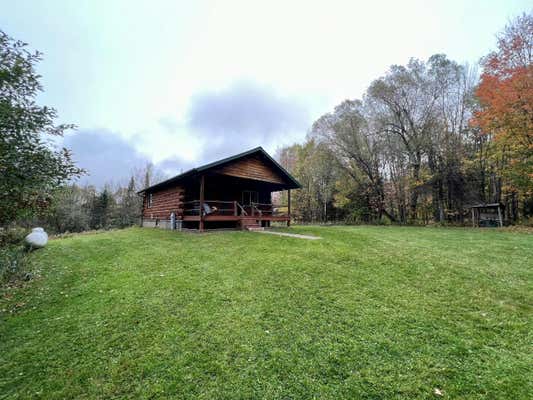 193 PARK CITY RD, AMASA, MI 49903 - Image 1