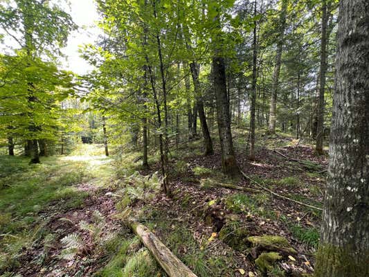 LOT 2 ISABELLE DR # LOT 2, MARENISCO, MI 49947, photo 3 of 73