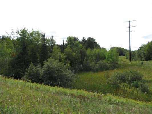 ON HWY 17, RHINELANDER, WI 54501 - Image 1