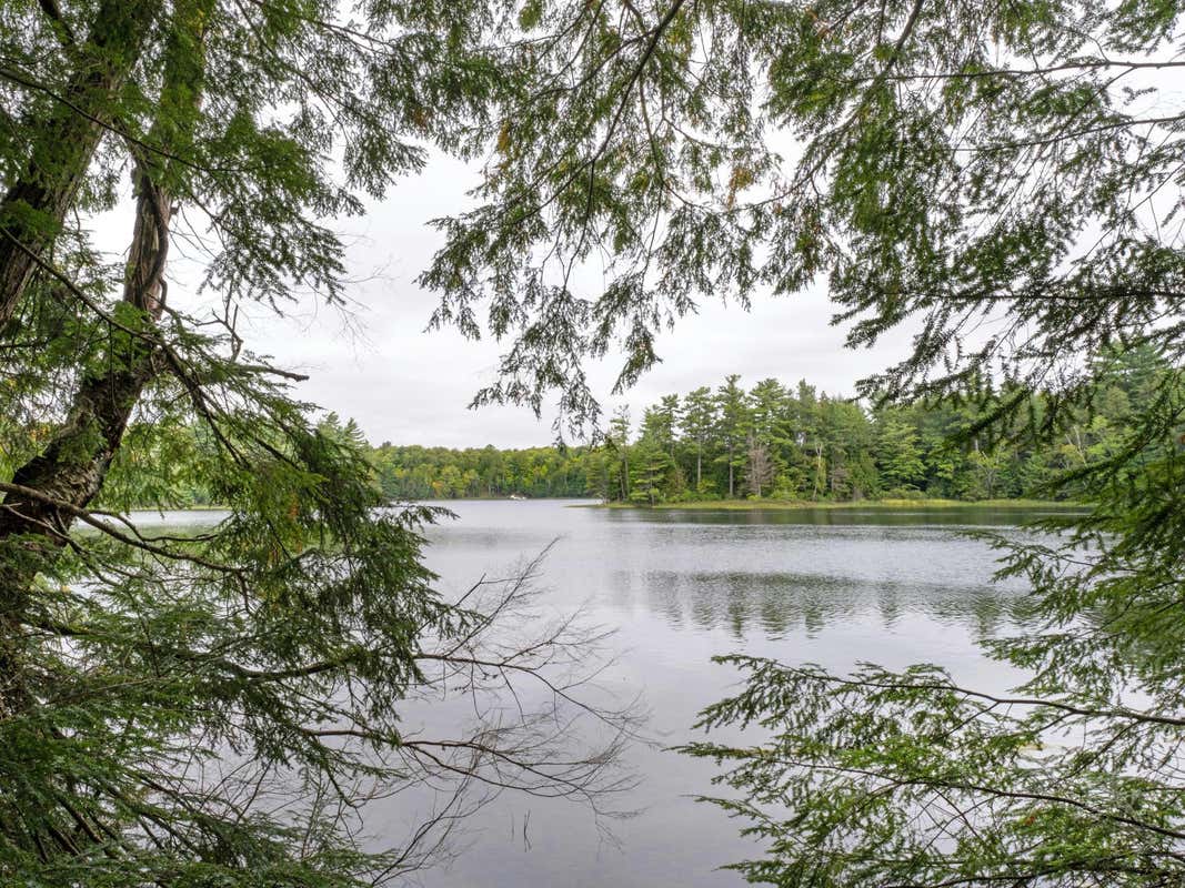 LOT 4 LOON BAY TR, LAC DU FLAMBEAU, WI 54538, photo 1 of 28