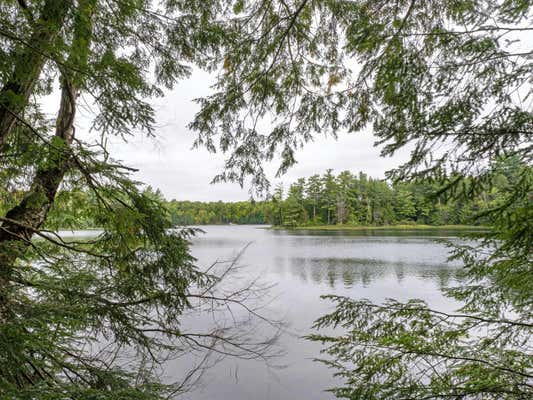 LOT 4 LOON BAY TR, LAC DU FLAMBEAU, WI 54538 - Image 1