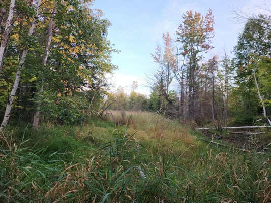 40AC OFF NOBLE RD, ONTONAGON, MI 49953 - Image 1