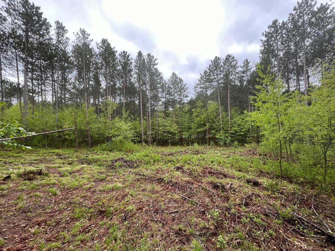 LOT 16 GLACIER PARK CT, RHINELANDER, WI 54501, photo 1 of 12