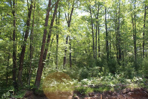 LOT 2 LINDQUIST LAKE RD, DUNBAR, WI 54119 - Image 1