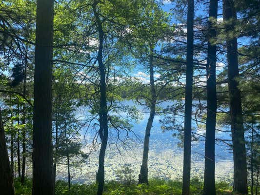 LOT 6 LITTLE POND LN, MINOCQUA, WI 54548 - Image 1