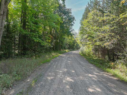 OFF DUCK LAKE RD E, LAND O LAKES, MI 49969, photo 5 of 32