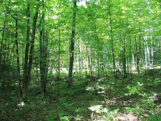 LOT 37 ALPINE DR, UPSON, WI 54565, photo 4 of 10