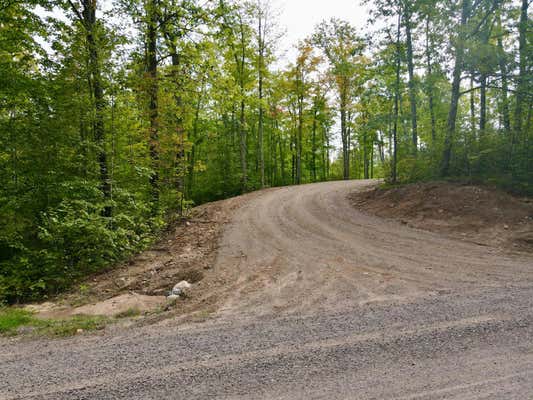 LOT 1 GRUNDY RD, TOMAHAWK, WI 54487 - Image 1