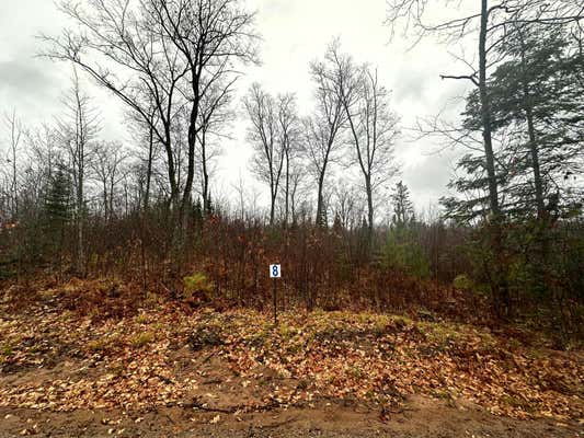 LOT 8 CTH B, LAND O LAKES, WI 54540 - Image 1