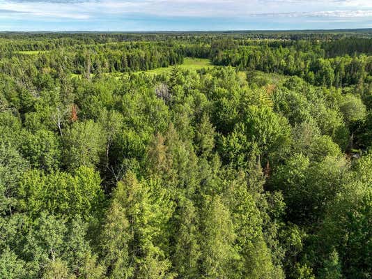 5 ACRES GRUNDY RD, IRMA, WI 54442 - Image 1