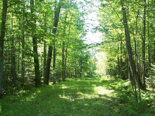 ON STATELINE LAKE RD E # LOT 3, MARENISCO, MI 49947, photo 2 of 32