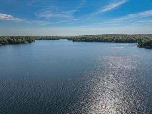 OFF DUCK LAKE RD E, LAND O LAKES, MI 49969, photo 3 of 32