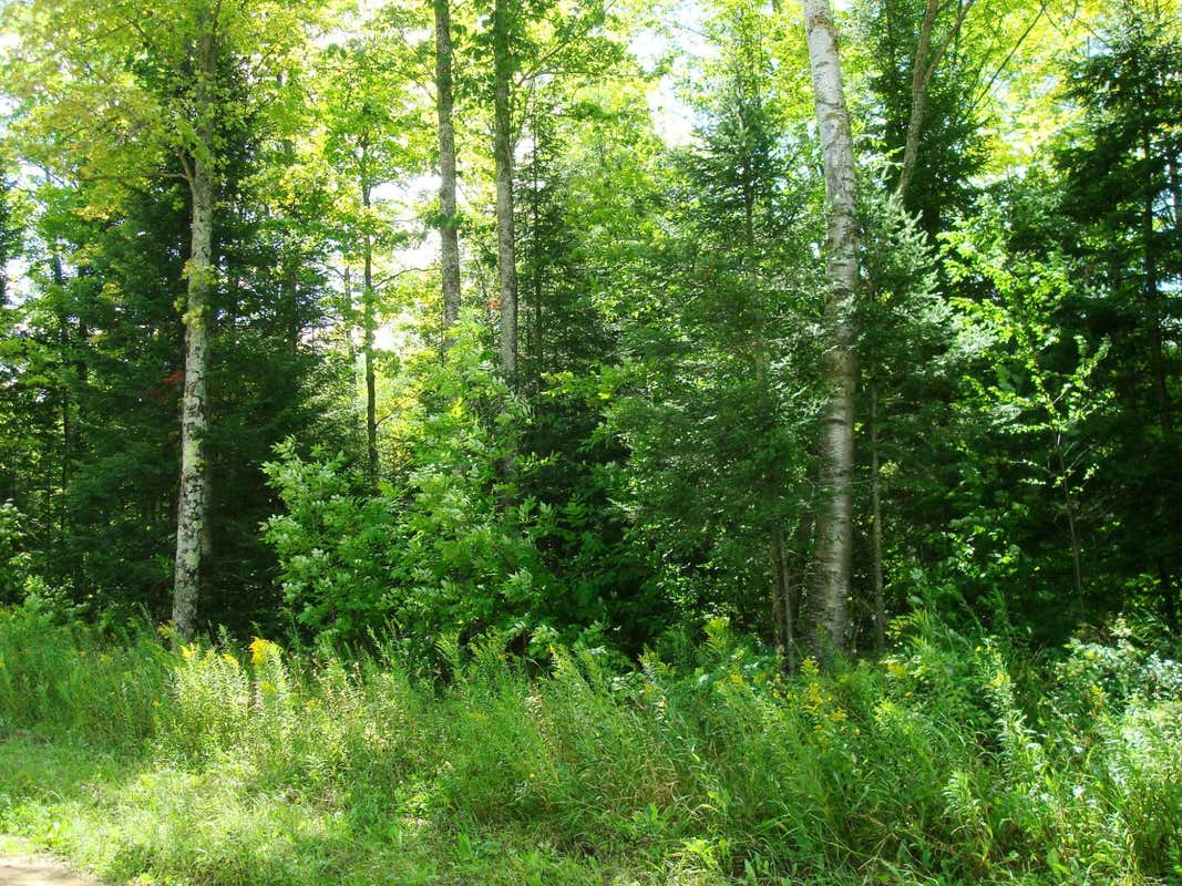 ON VELVET LAKE RD # TRACT 2059, RHINELANDER, WI 54501, photo 1