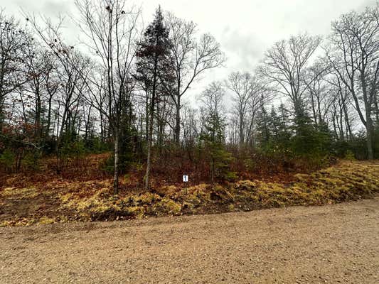 LOT 1 CTH B, LAND O LAKES, WI 54540 - Image 1