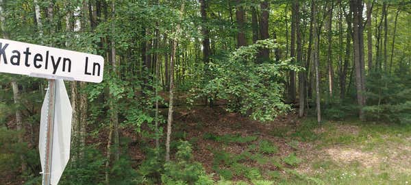 LOT 2 KATELYN LN, RHINELANDER, WI 54501 - Image 1