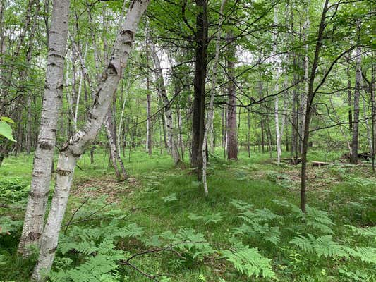 LOT 7 RIVERVIEW DR # 1.52 AC, ST GERMAIN, WI 54558 - Image 1