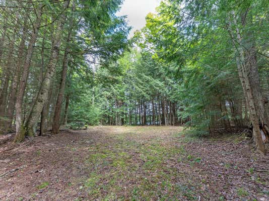 LOT 4 LOON BAY TR, LAC DU FLAMBEAU, WI 54538, photo 4 of 28