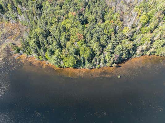 OFF DUCK LAKE RD E, LAND O LAKES, MI 49969, photo 2 of 32