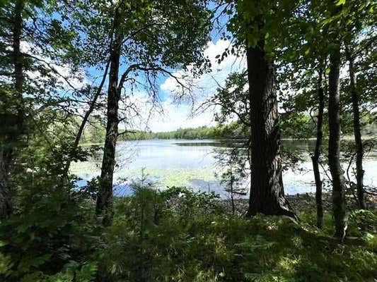 ON MOON LAKE RD S, WATERSMEET, MI 49969 - Image 1