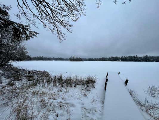 TBD ROBINSON LAKE RD, KENTON, MI 49969, photo 5 of 6