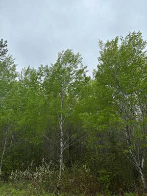 ON BURROWS LAKE RD # LOT 6, TOMAHAWK, WI 54487 - Image 1