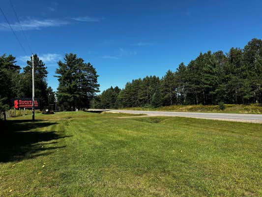 NEAR HWY 17, EAGLE RIVER, WI 54521 - Image 1