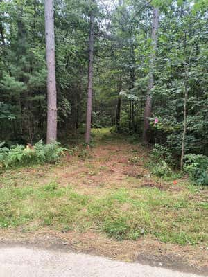 LOT 20 PATRICE PINES LN, MINOCQUA, WI 54548 - Image 1