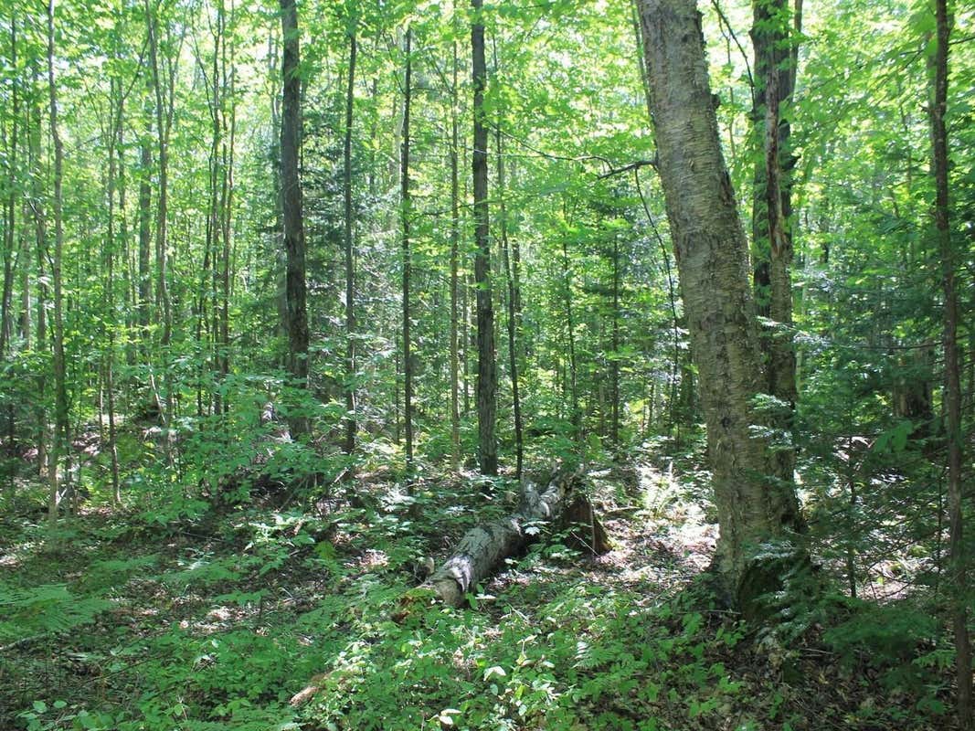 LOT 37 ALPINE DR, UPSON, WI 54565, photo 1 of 10