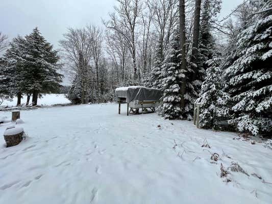 TBD ROBINSON LAKE RD, KENTON, MI 49969, photo 3 of 6