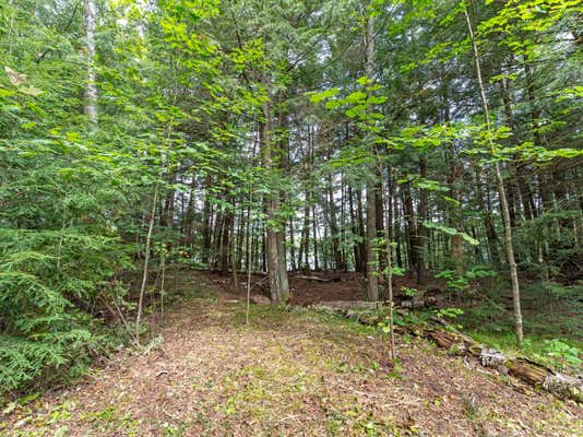 LOT 4 LOON BAY TR, LAC DU FLAMBEAU, WI 54538, photo 5 of 28