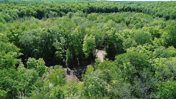 OFF BIRCH LAKE RD W # LOT 1, WINCHESTER, WI 54557 - Image 1