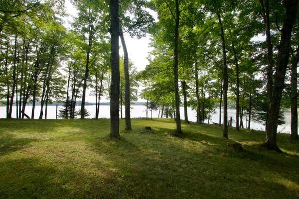 18711 W CISCO LAKE RD, WATERSMEET, MI 49969 - Image 1