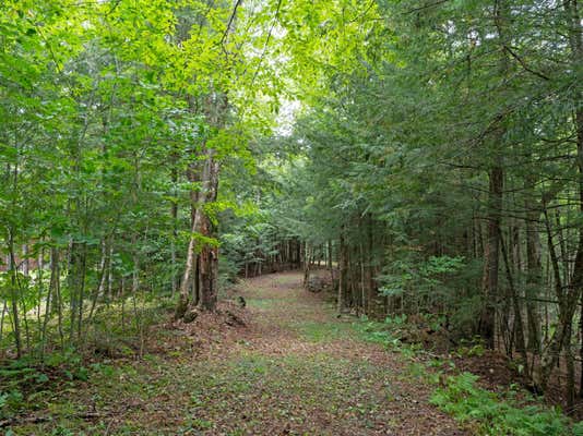 LOT 4 LOON BAY TR, LAC DU FLAMBEAU, WI 54538, photo 3 of 28