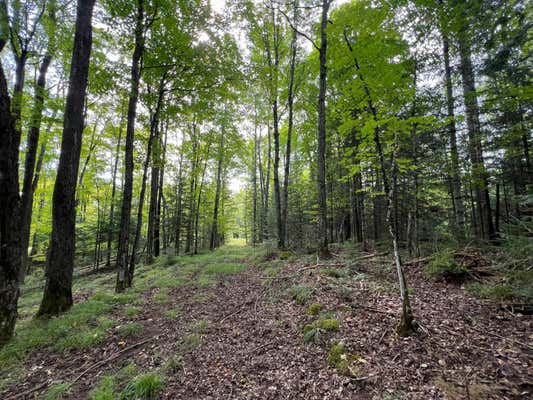 LOT 2 ISABELLE DR # LOT 2, MARENISCO, MI 49947, photo 2 of 73