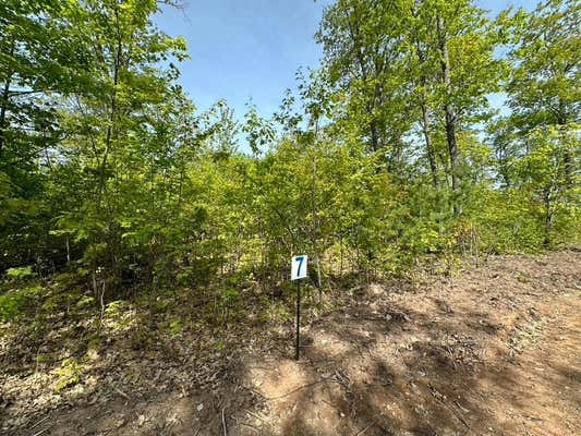 LOT 7 CTH B, LAND O LAKES, WI 54540 - Image 1