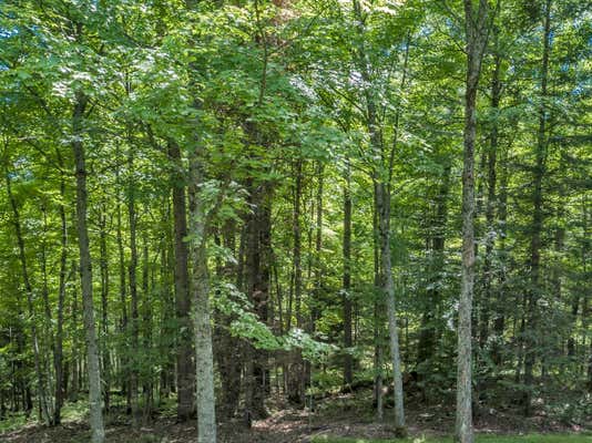 LOT 2 ON CUT OFF RD, PRESQUE ISLE, WI 54557, photo 5 of 9