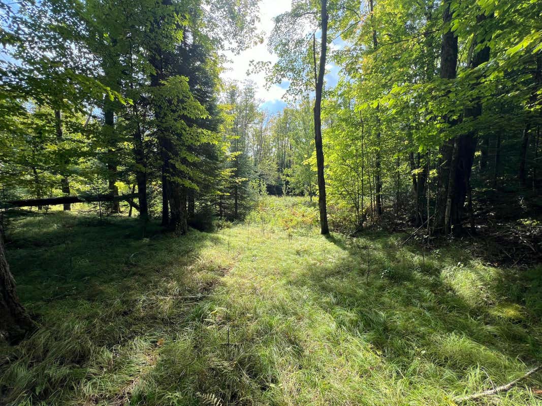 LOT 2 ISABELLE DR # LOT 2, MARENISCO, MI 49947, photo 1 of 73