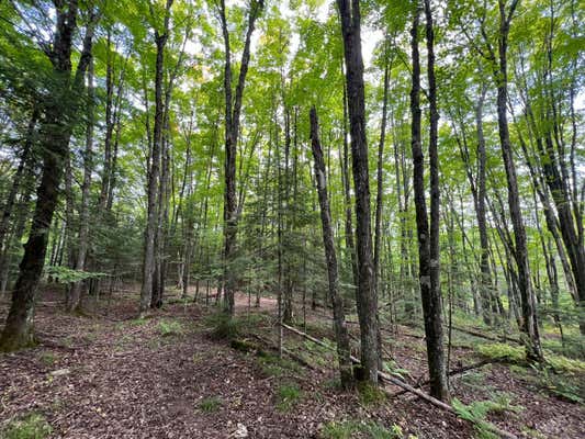 LOT 2 ISABELLE DR # LOT 2, MARENISCO, MI 49947, photo 4 of 73