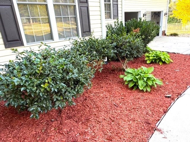 Waterloo, South Carolina, 29384, United States, 5 Bedrooms Bedrooms, ,4 BathroomsBathrooms,Residential,Active,1952994